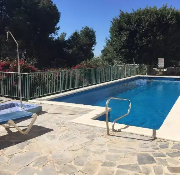 Las Flores De Burriana