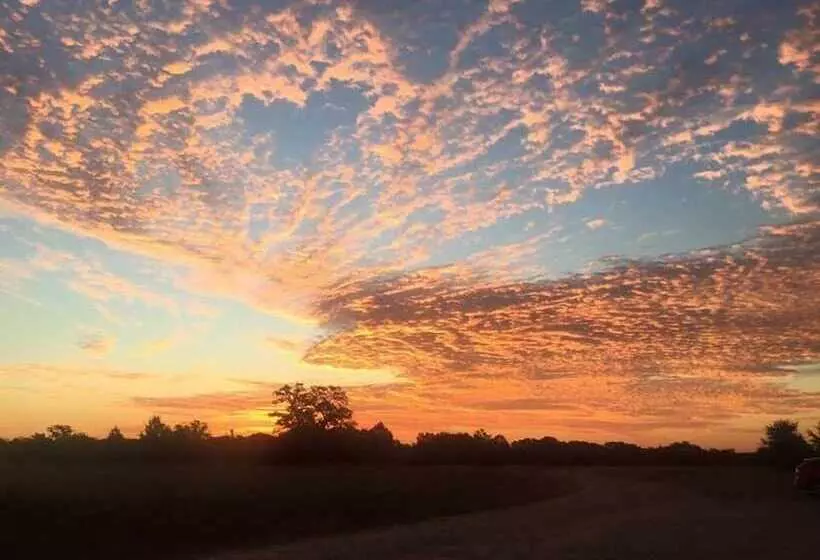 Aamiaismajoitus (B&B) Night Bird Ranch