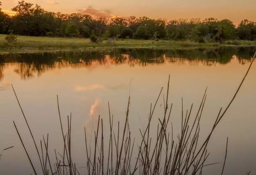 Aamiaismajoitus (B&B) Night Bird Ranch