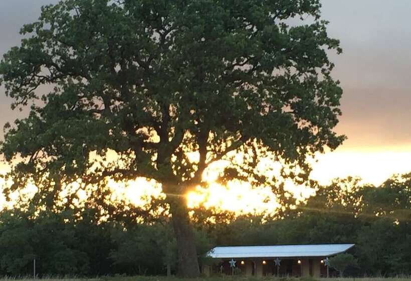 Bed & Breakfast Night Bird Ranch