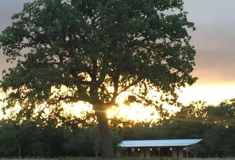 Aamiaismajoitus (B&B) Night Bird Ranch