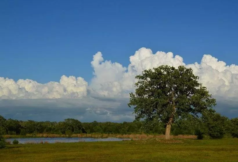 Aamiaismajoitus (B&B) Night Bird Ranch