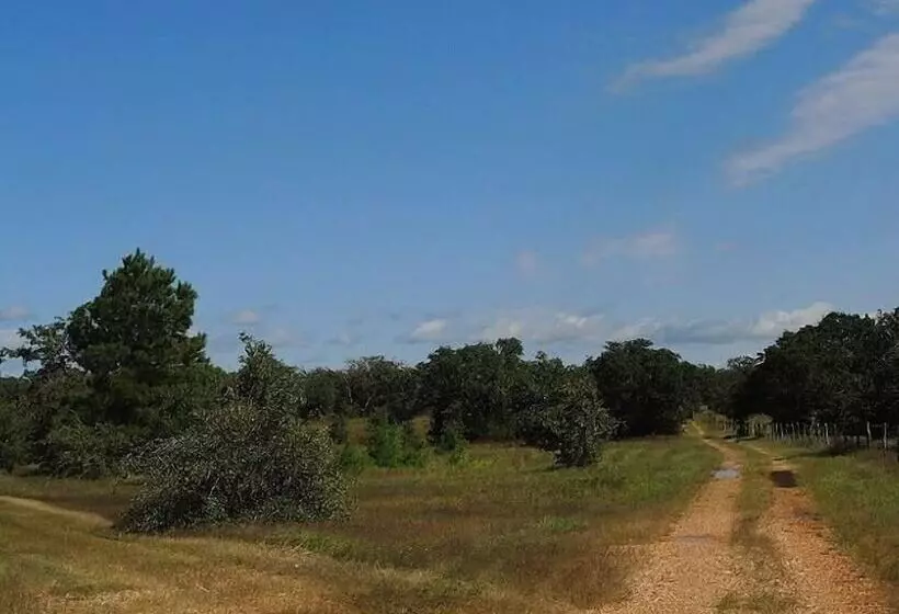 Aamiaismajoitus (B&B) Night Bird Ranch