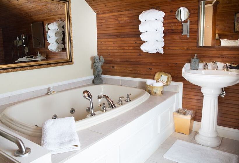 Отель Burke Manor Inn & Pavilion