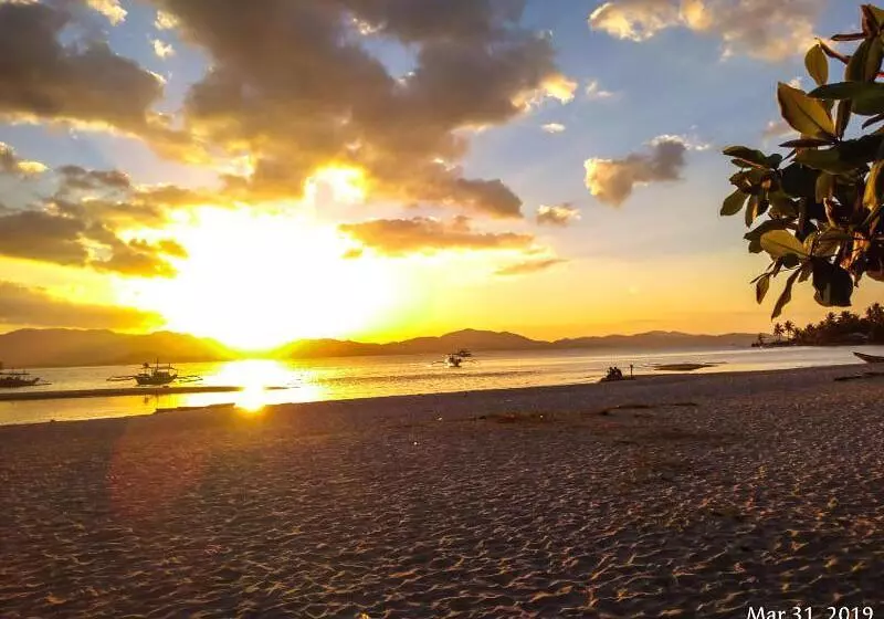 ホテル Ferellee Beach Front Inn