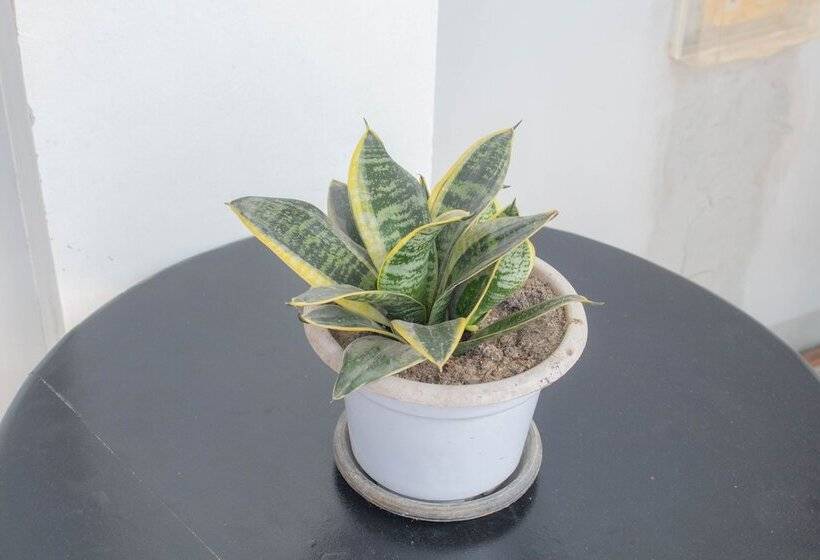 Hotel Vitasolo Hometel & Suite