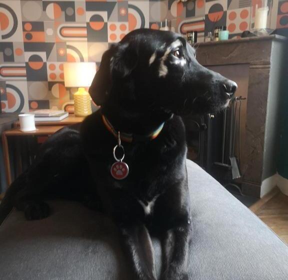 Bed and Breakfast Maison Belmont Eymet