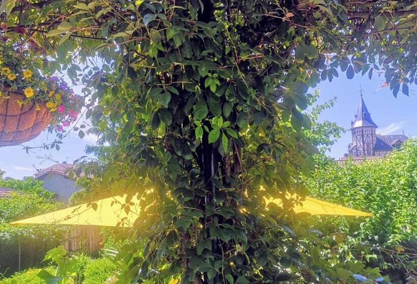 Bed and Breakfast Maison Belmont Eymet