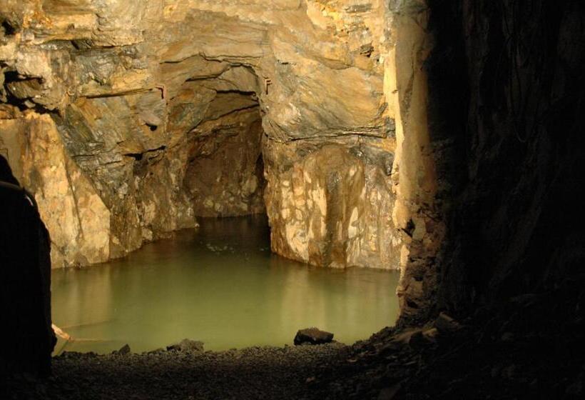 Flair Waldhotel Mellestollen