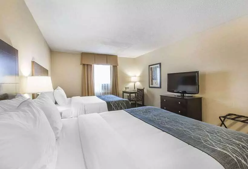 Отель Comfort Inn   Gander