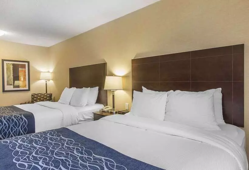 Отель Comfort Inn   Gander