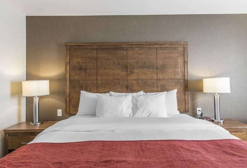 هتل Comfort Inn Gander