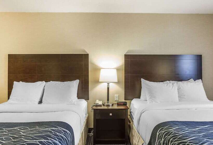 هتل Comfort Inn Gander