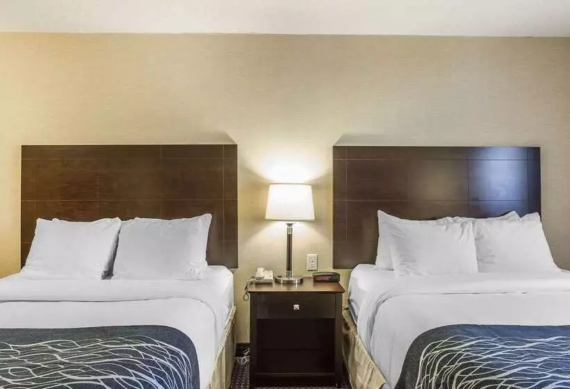 Отель Comfort Inn   Gander