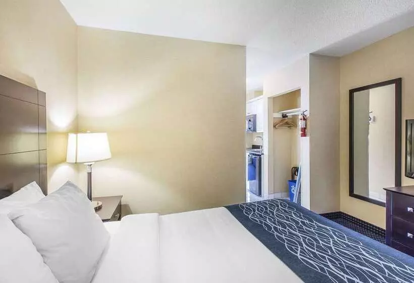 Отель Comfort Inn   Gander