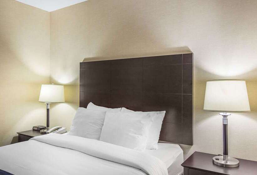 هتل Comfort Inn Gander