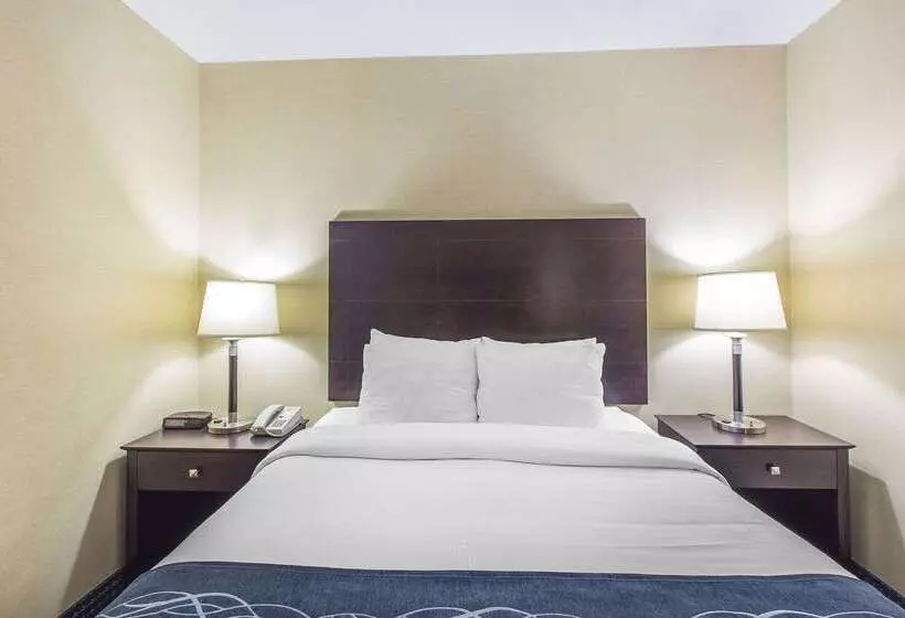 Отель Comfort Inn   Gander