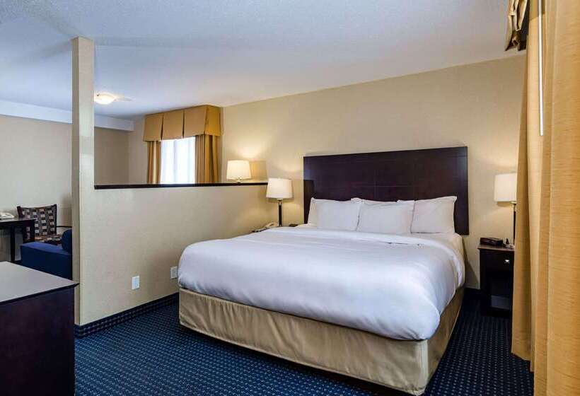 هتل Comfort Inn Gander