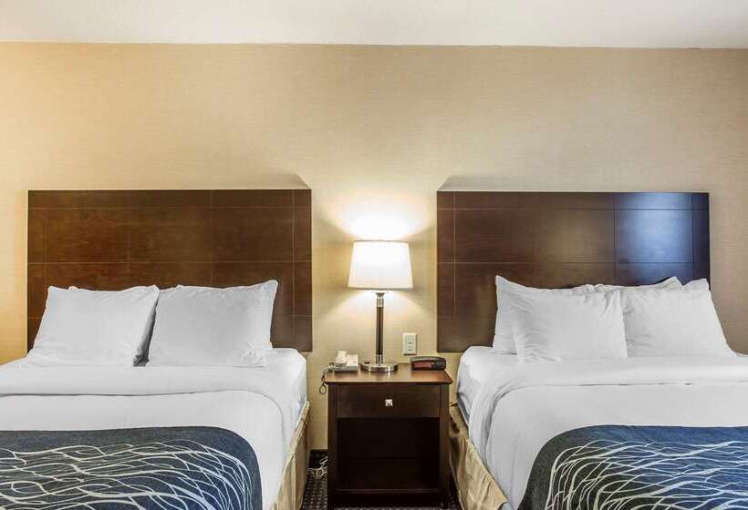 هتل Comfort Inn Gander