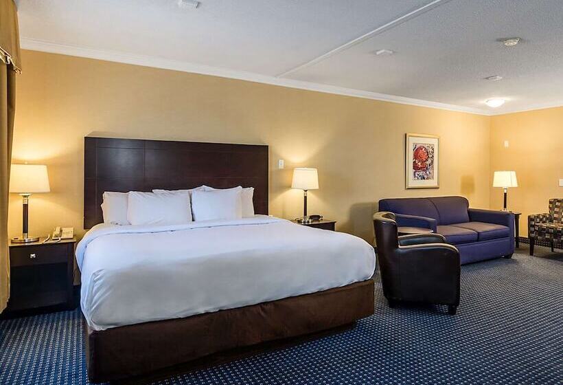 هتل Comfort Inn Gander