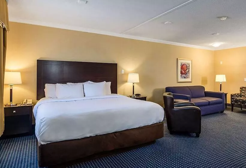 Отель Comfort Inn   Gander