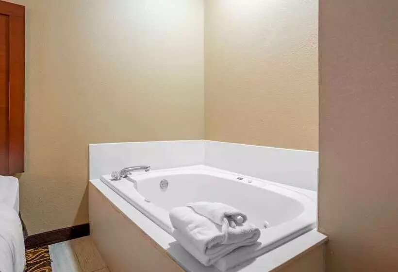 酒店 Comfort Suites Mobile East Bay