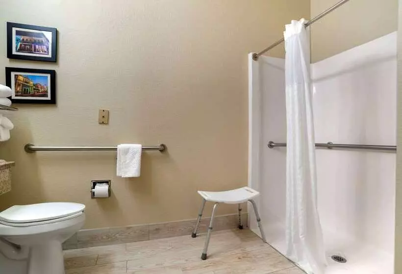 酒店 Comfort Suites Mobile East Bay