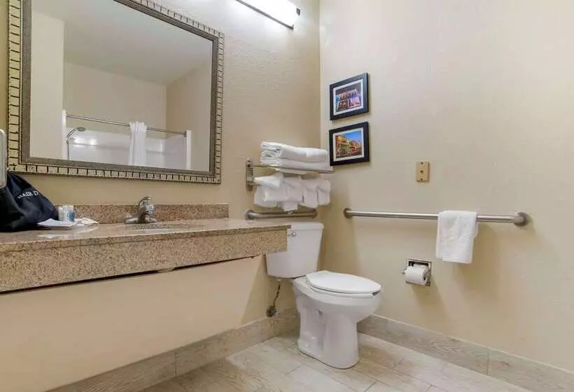 酒店 Comfort Suites Mobile East Bay