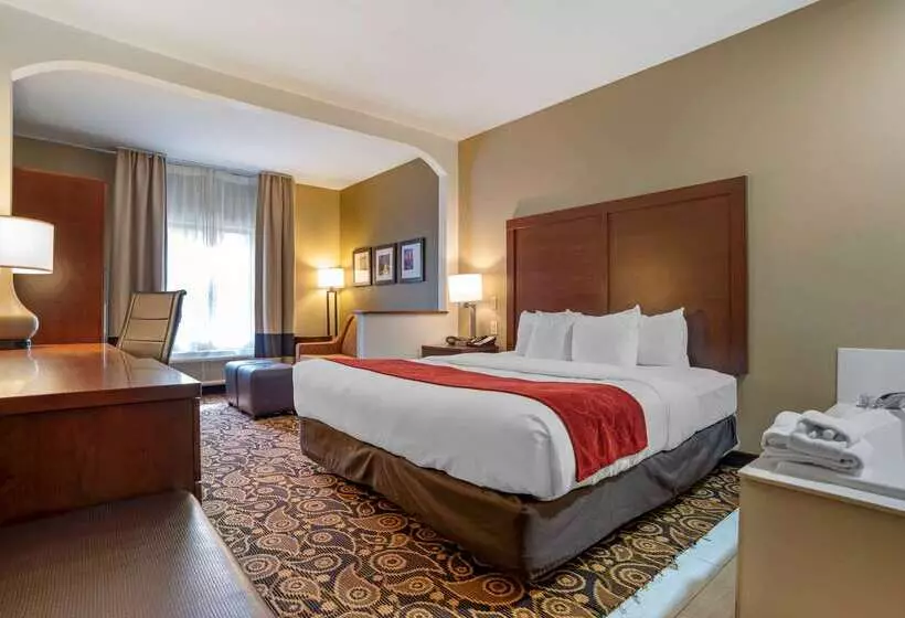 酒店 Comfort Suites Mobile East Bay