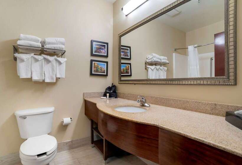 فندق Comfort Suites Mobile East Bay