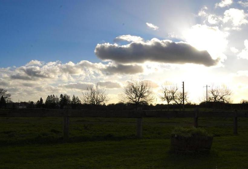 ホテル Hôtel De Tessé