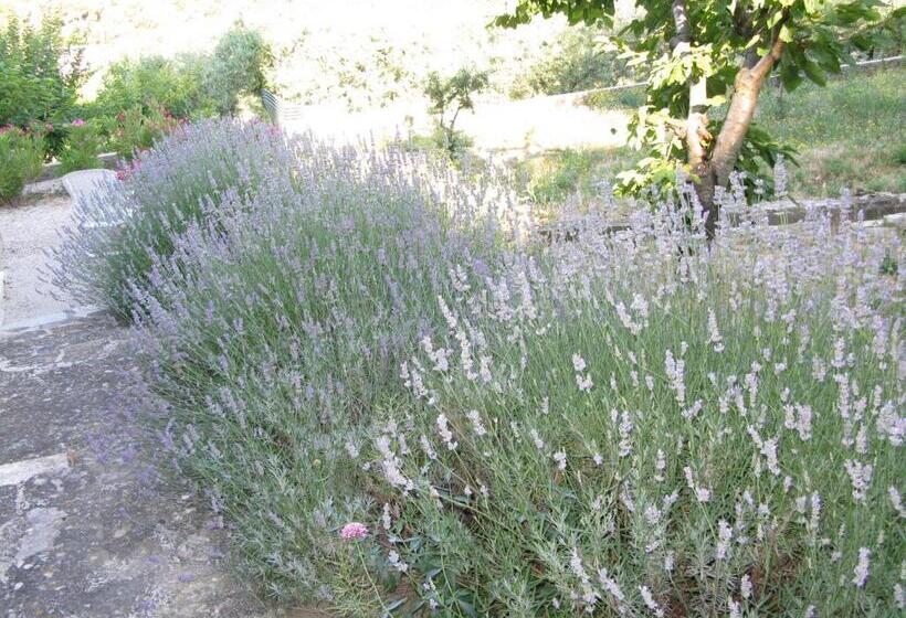 호텔 Logis Hôtel Restaurant Les Géraniums