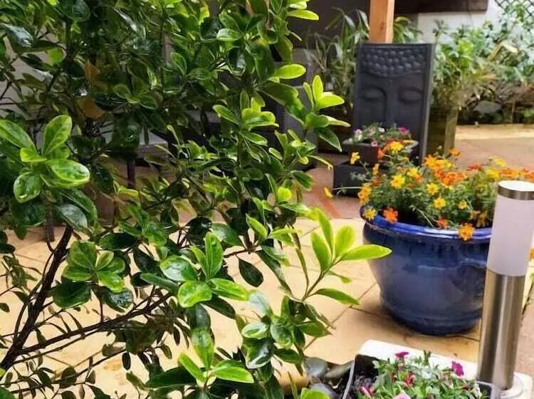 Отель Restaurant Herard