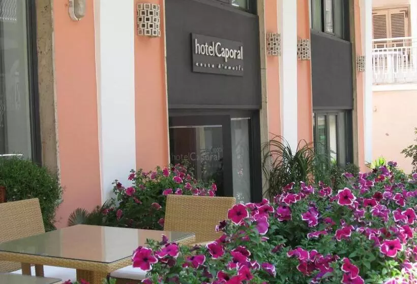 Отель Caporal