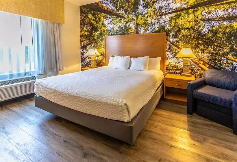 酒店 Comfort Inn Hanford Lemoore