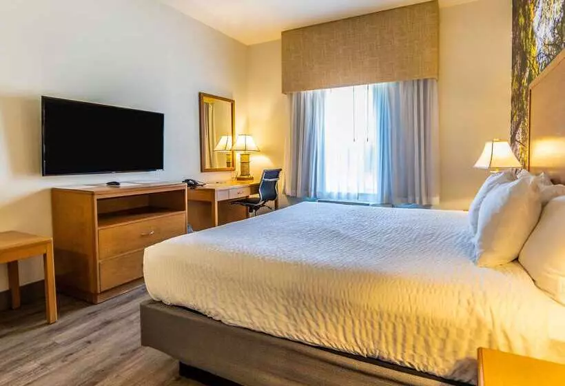 酒店 Comfort Inn Hanford Lemoore