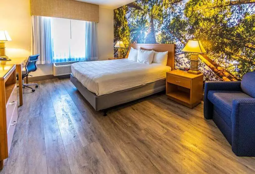 酒店 Comfort Inn Hanford Lemoore