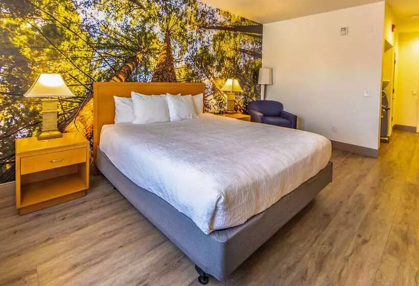 酒店 Comfort Inn Hanford Lemoore