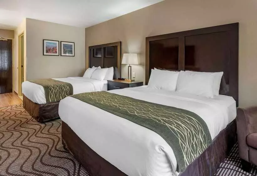 酒店 Comfort Inn & Suites