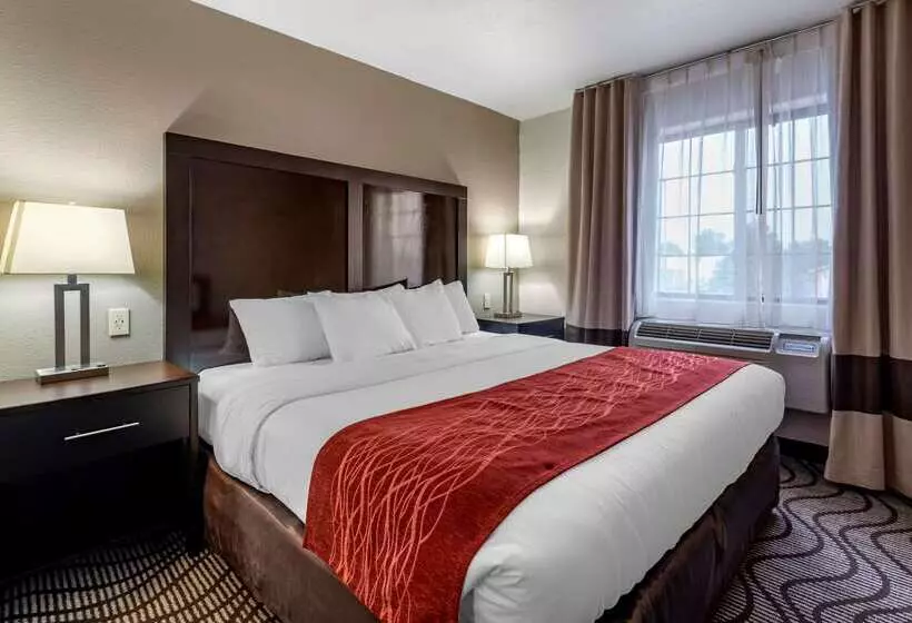 酒店 Comfort Inn & Suites