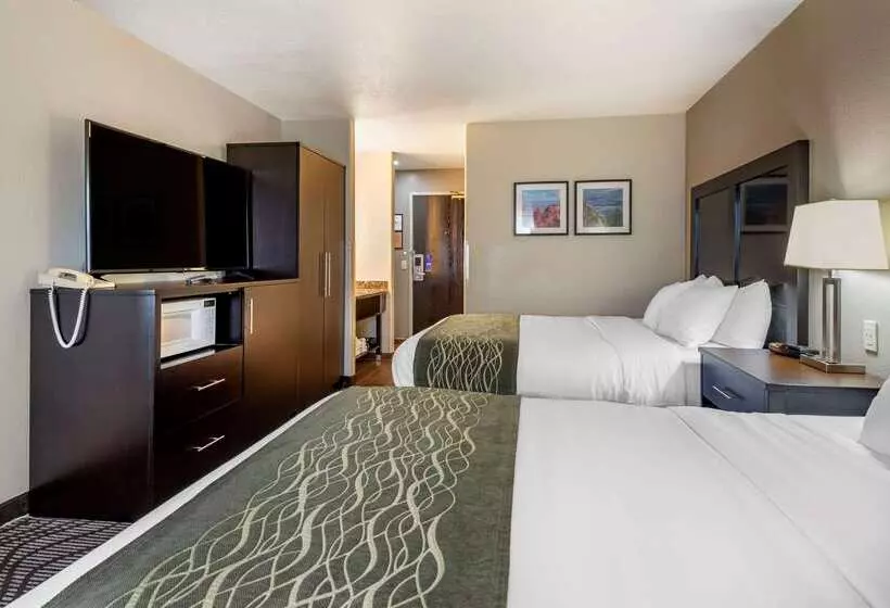 酒店 Comfort Inn & Suites