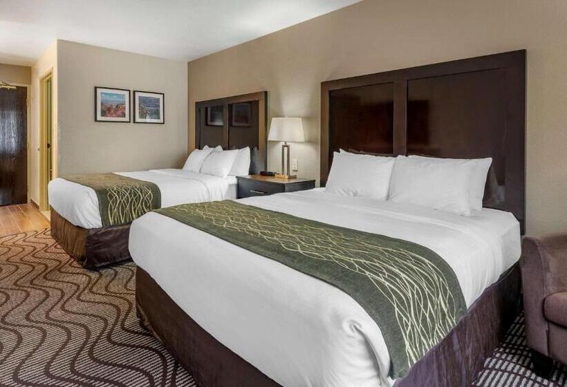 호텔 Comfort Inn & Suites