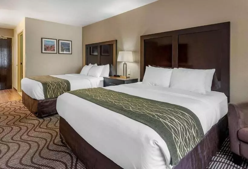 酒店 Comfort Inn & Suites