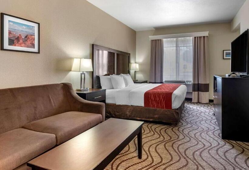 호텔 Comfort Inn & Suites