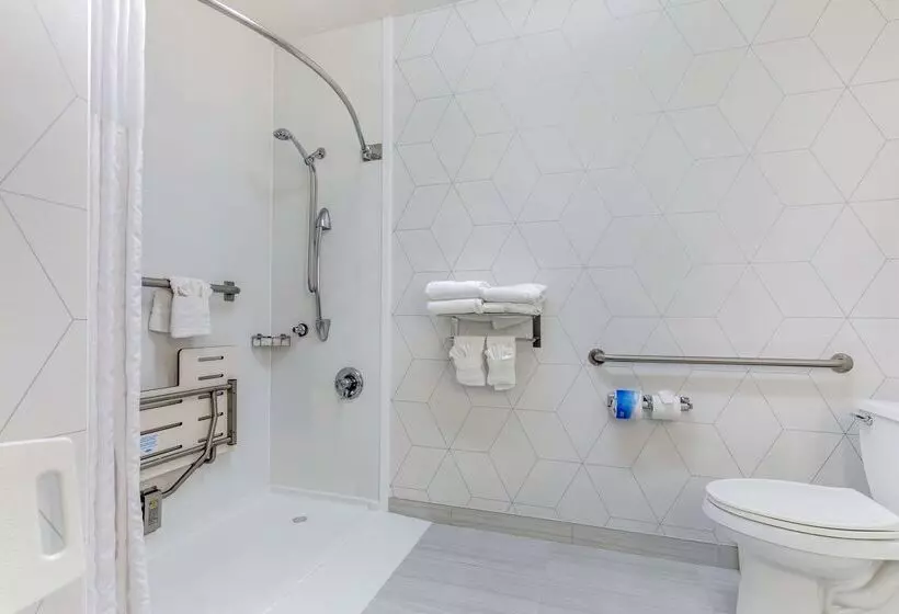 ホテル Comfort Suites Golden West On Evergreen Parkway