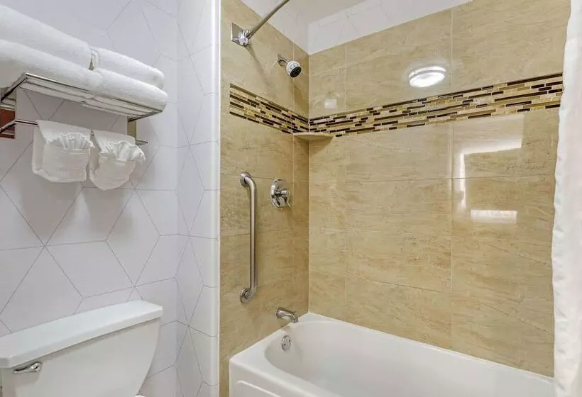 ホテル Comfort Suites Golden West On Evergreen Parkway