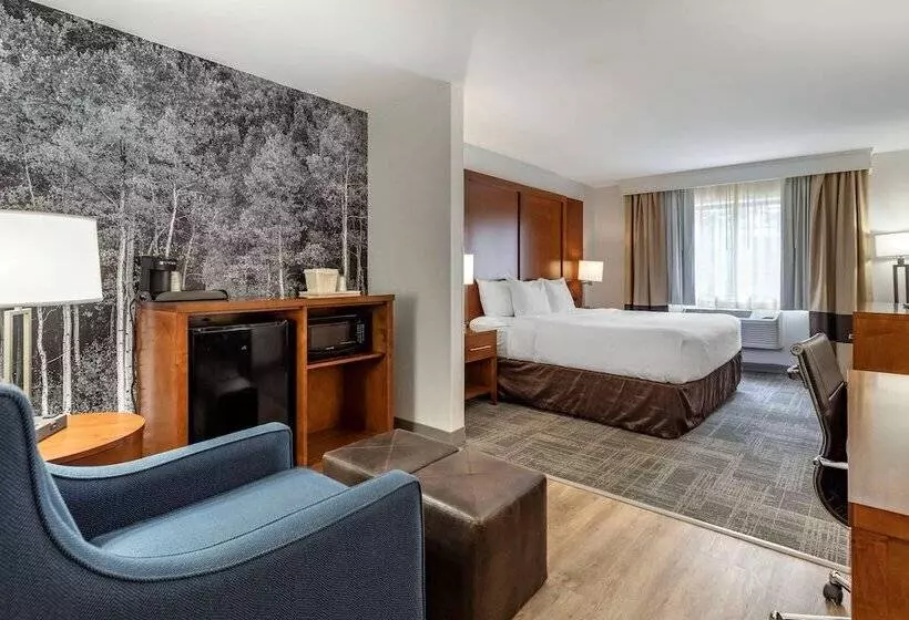 ホテル Comfort Suites Golden West On Evergreen Parkway