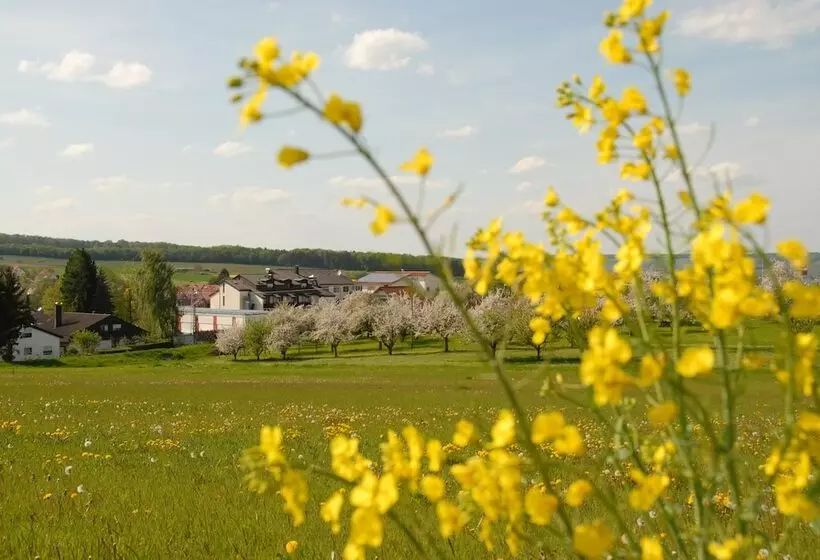 Flair Hotel Landgasthof Roger