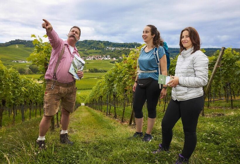 Flair Hotel Landgasthof Roger