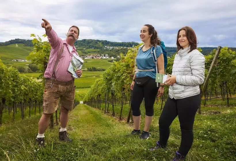 Flair Hotel Landgasthof Roger